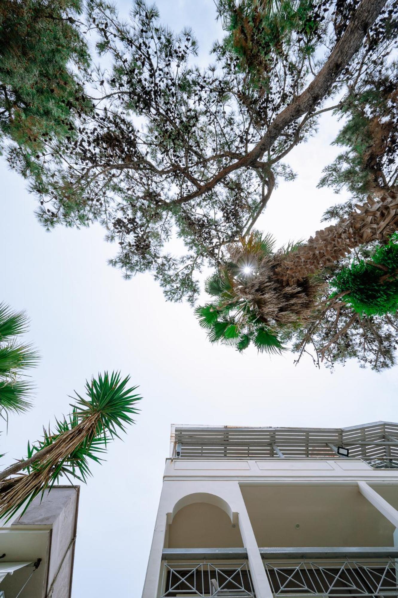 Ktima Papaoikonomou Apartment โปตอส ภายนอก รูปภาพ